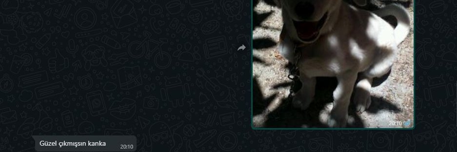 needadolar's profile banner image