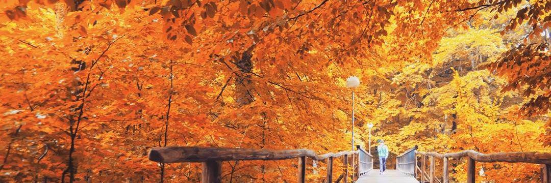 미추룸한 윤 banner