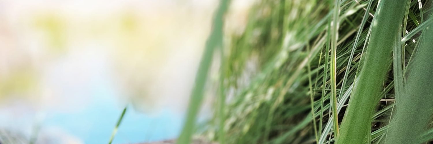 mbibianam's profile banner image
