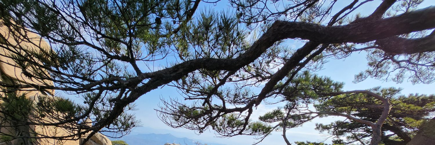 1know_yourself's profile banner image