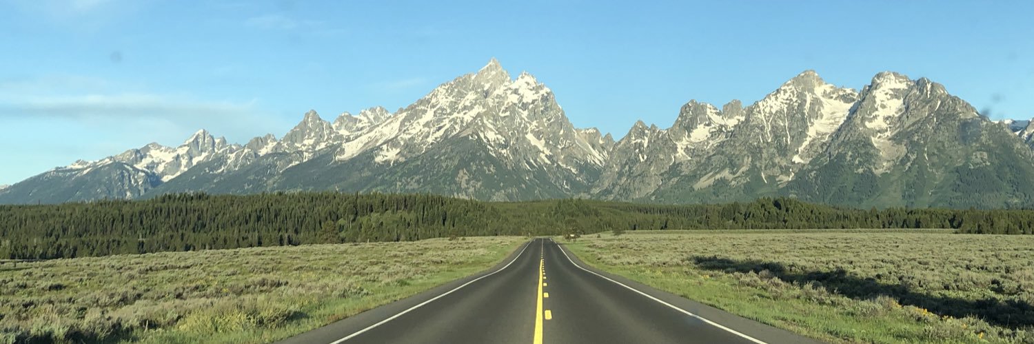 Michael Garland banner