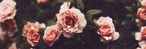 katpat8123's profile banner image