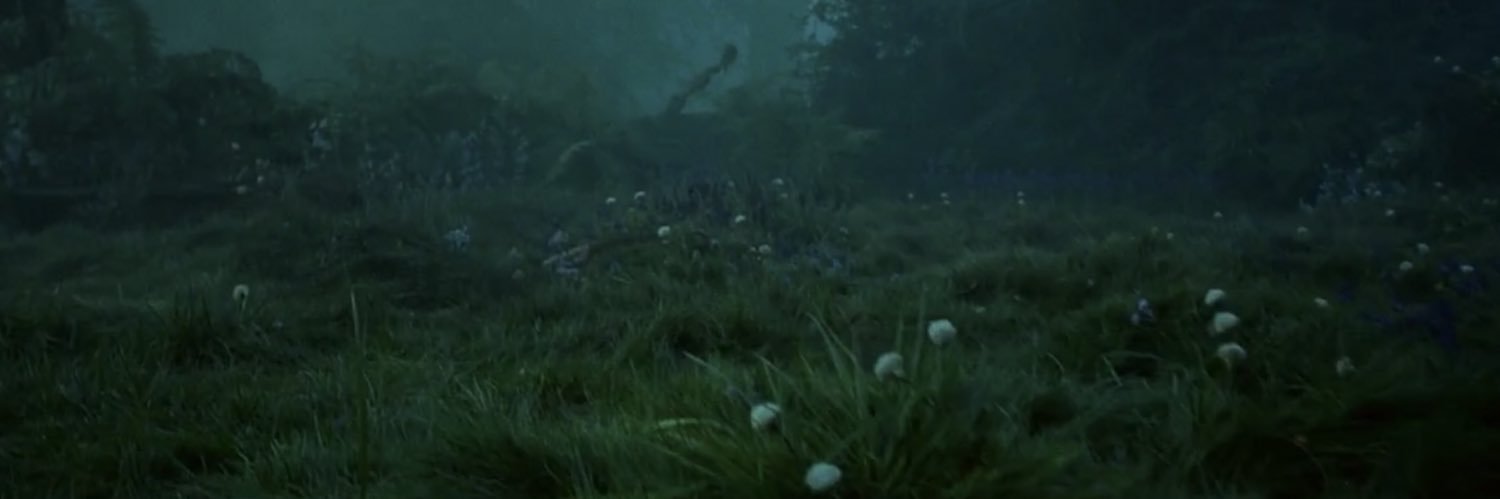 xvllgs's profile banner image