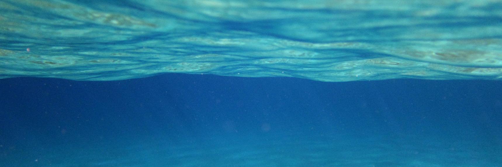 Brenda Laurel banner