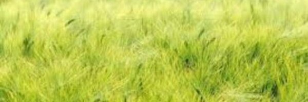 JrlEPP Profile Banner