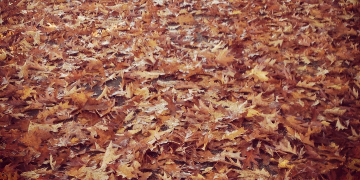 CorporateCanuck's profile banner image