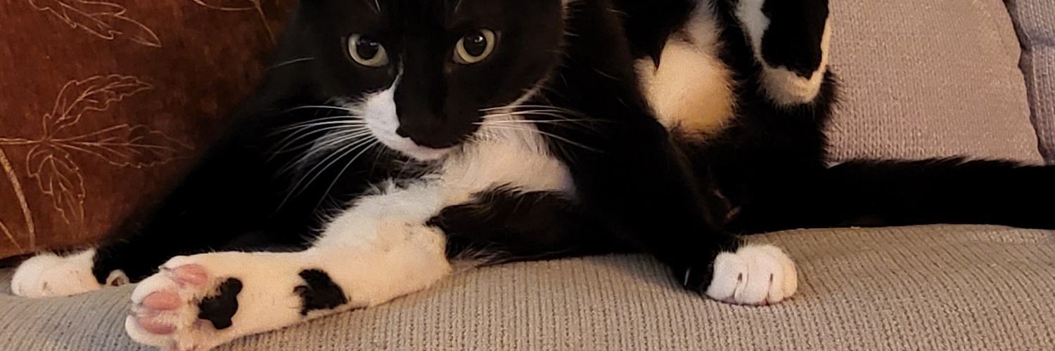 TheDangerousMe's profile banner image