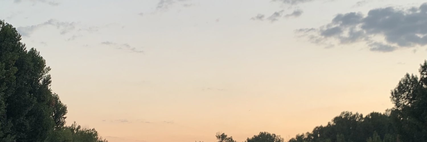 ikerlandda's profile banner image