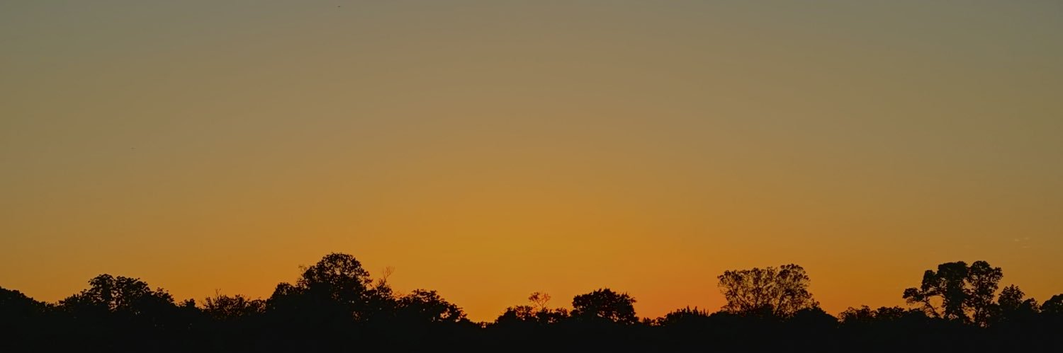 Miguel Alvarez banner