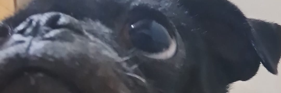 RayoUru's profile banner image