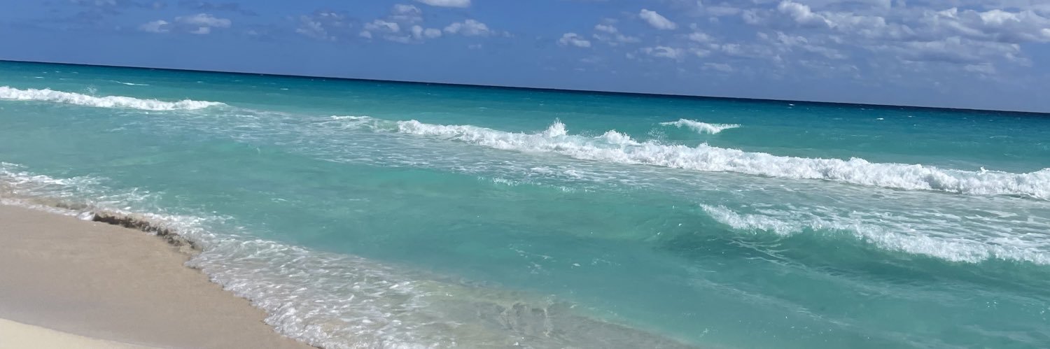 lexiwalton__'s profile banner image