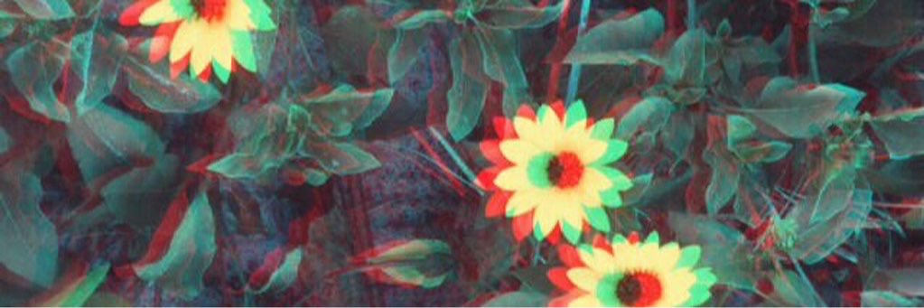 clarajimenezv's profile banner image