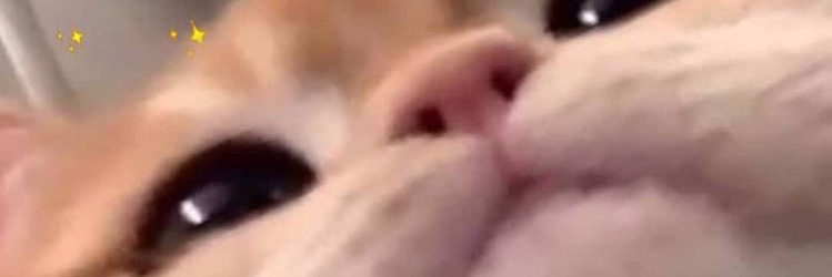 EsmeOfficiel's profile banner image