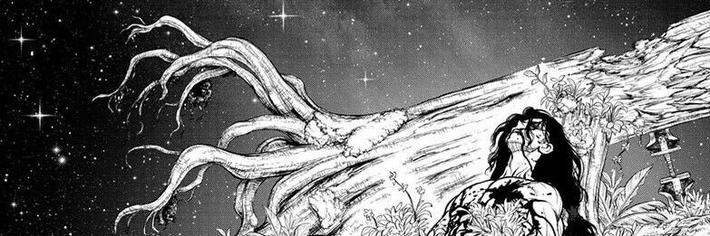 senkunotsuma's profile banner image