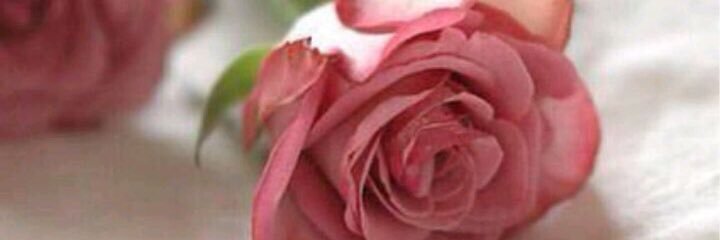M20Reem's profile banner image