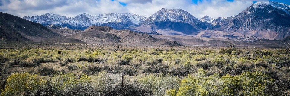 Andy Rothstein banner