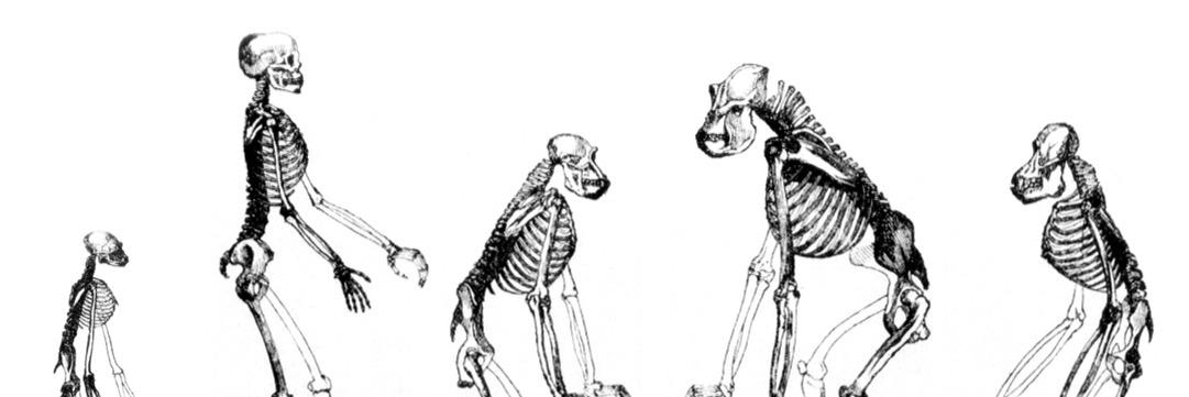 Atheist_Acuity's profile banner image