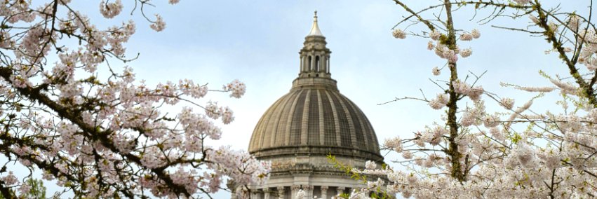WA State Auditor banner