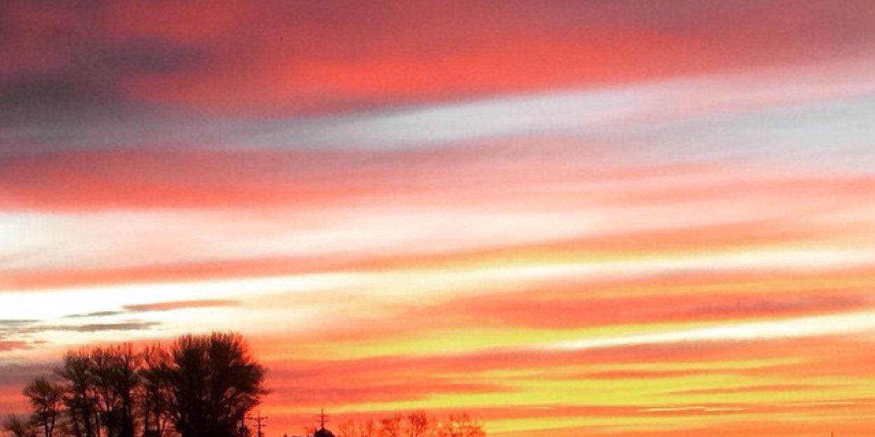 Breezy_Librizzi's profile banner image
