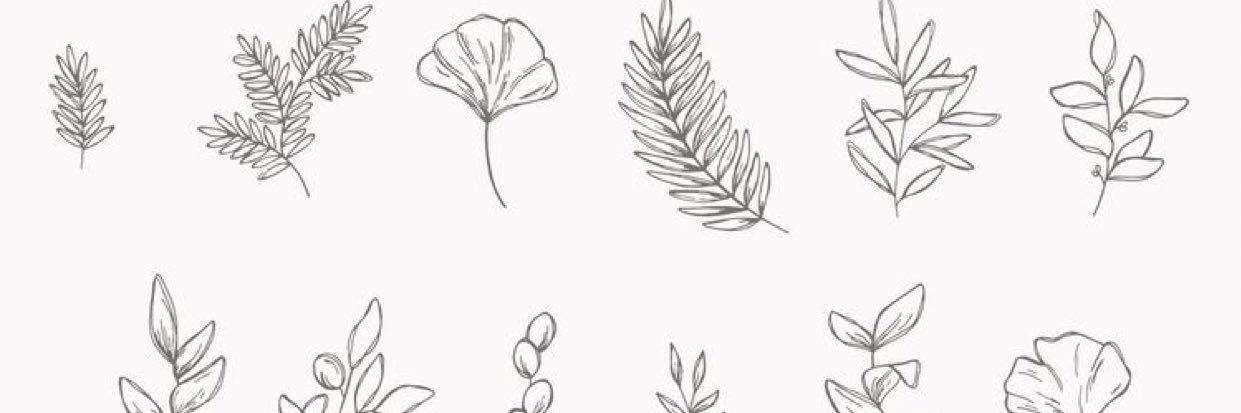 VaughtFay's profile banner image