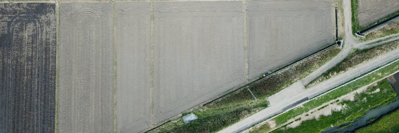 Medr's profile banner image