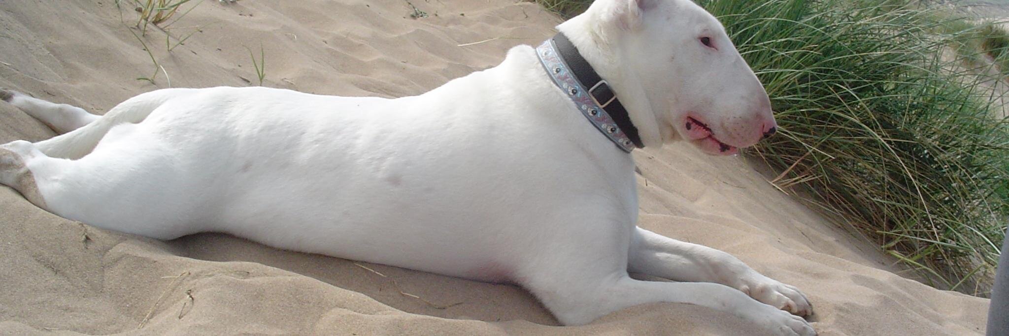 wykeite1's profile banner image