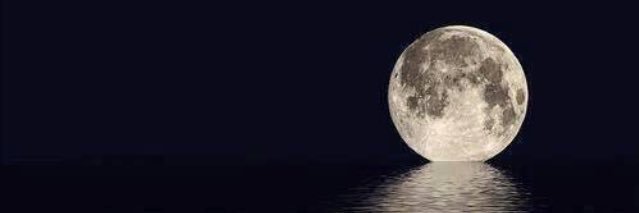 marceumiller's profile banner image