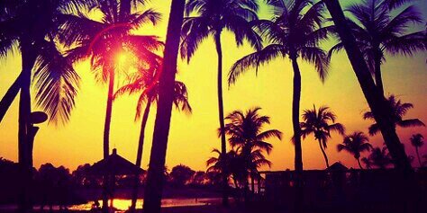 fernandonavur's profile banner image