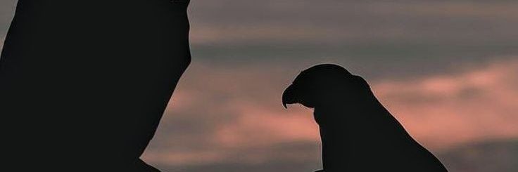 DRHM25's profile banner image