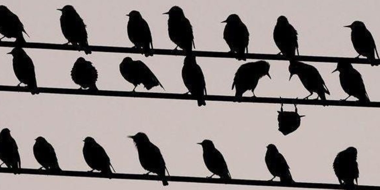 Télémaque Aulong banner