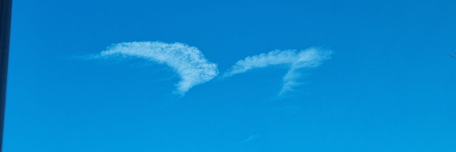 Dannyte0685's profile banner image