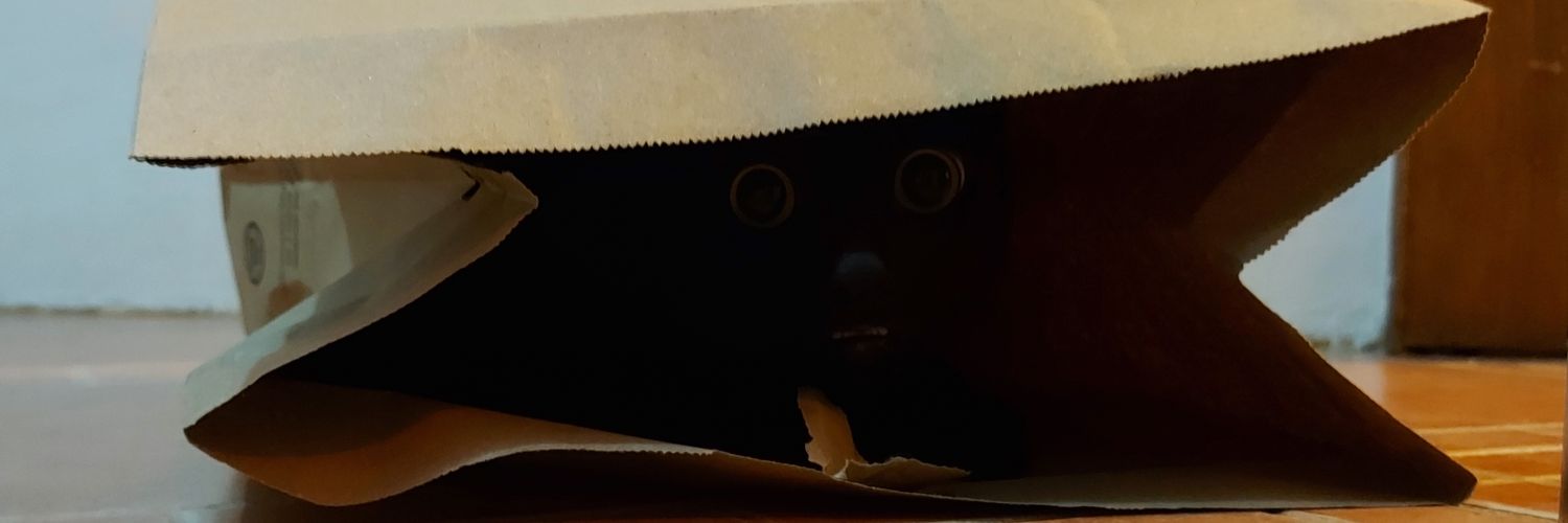 luzmed99's profile banner image