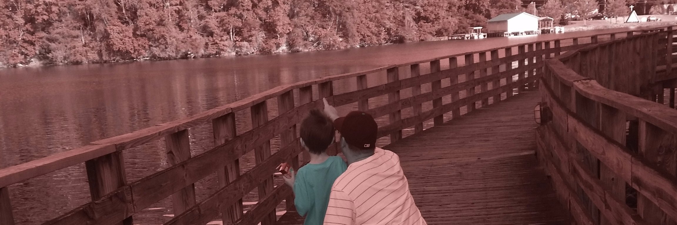BossMomMom's profile banner image