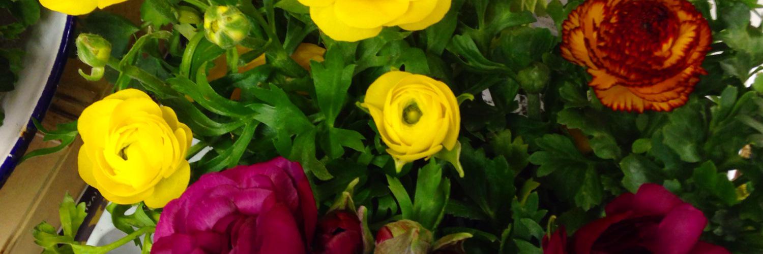 _grocerandgrain's profile banner image