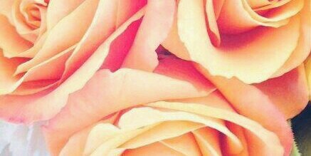 sclmray's profile banner image