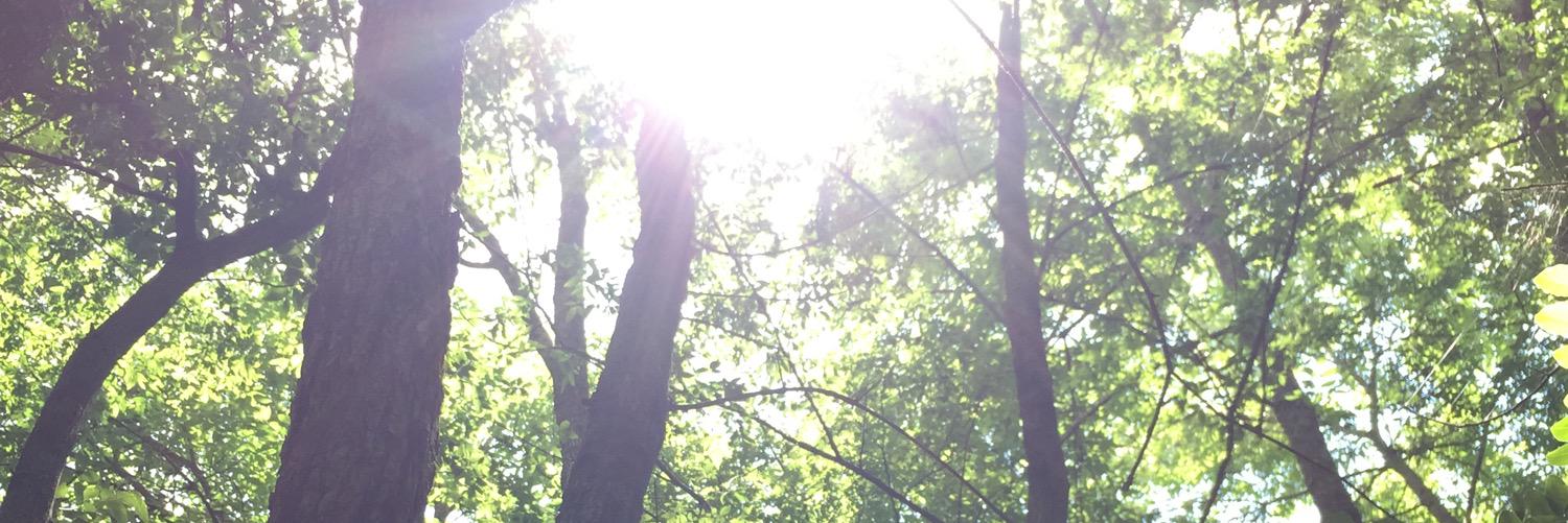 tylerh5309's profile banner image