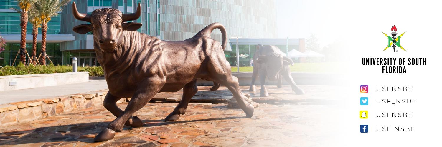 USF_NSBE's profile banner image