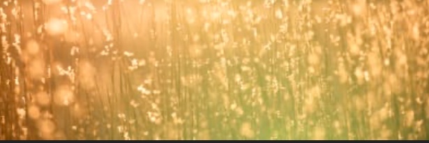 hehaynes12's profile banner image