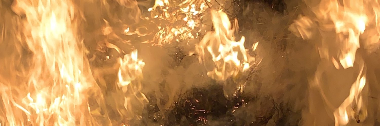oasammmm's profile banner image