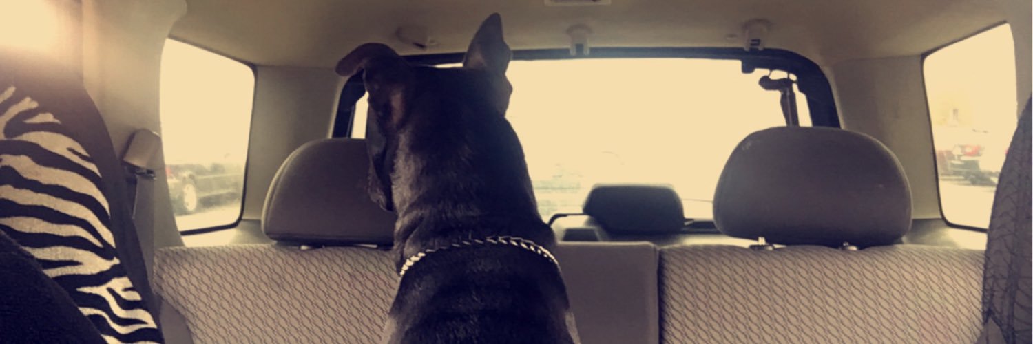 brxttvnyy's profile banner image