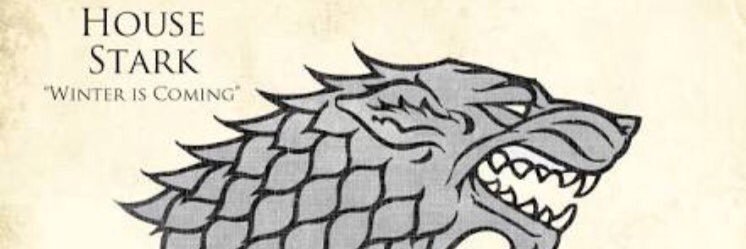 Rene Cervantes banner