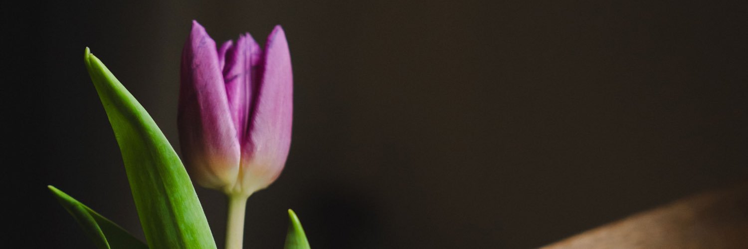 _torikai_'s profile banner image