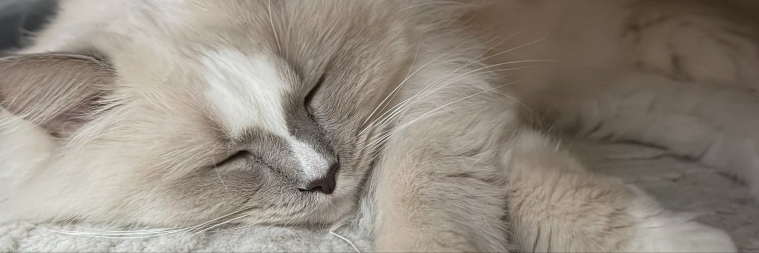 rachcao's profile banner image