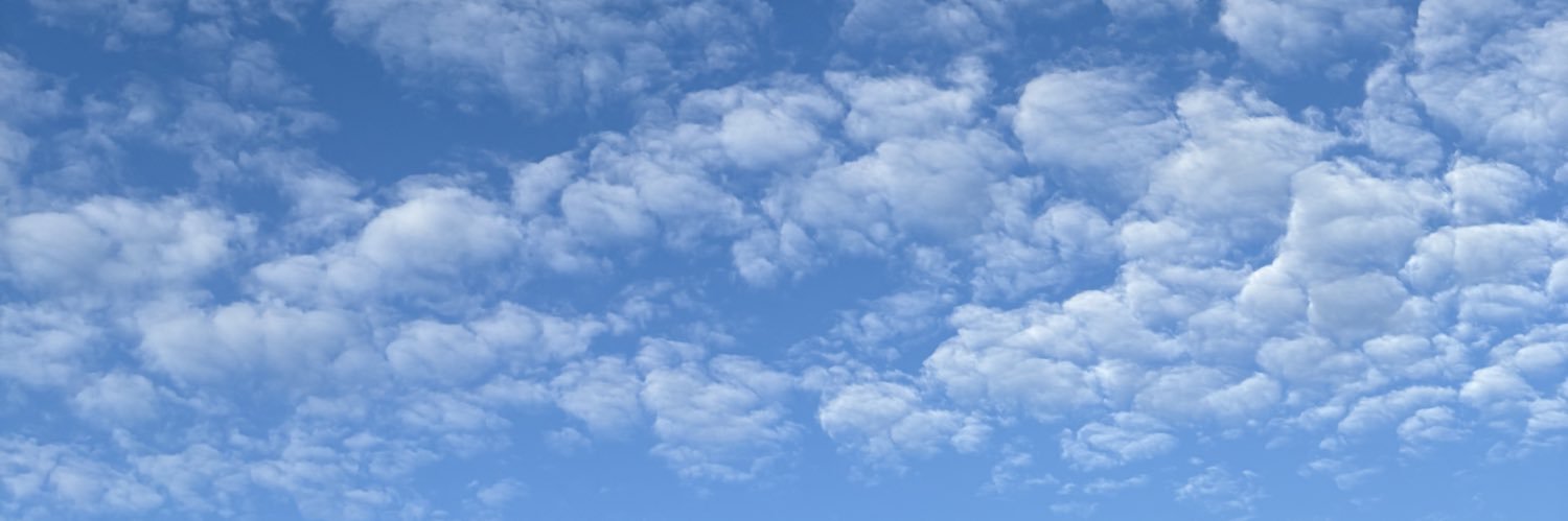 Katherine Ng-Bell banner