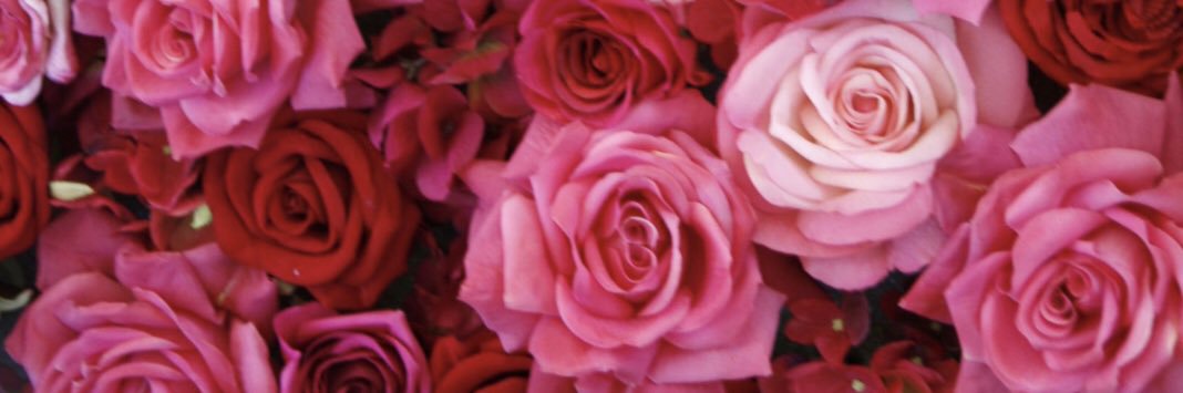 Crazybygrace's profile banner image