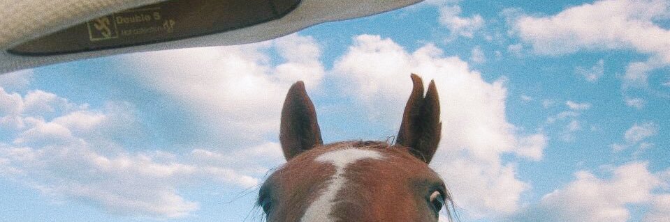 allypallypants's profile banner image