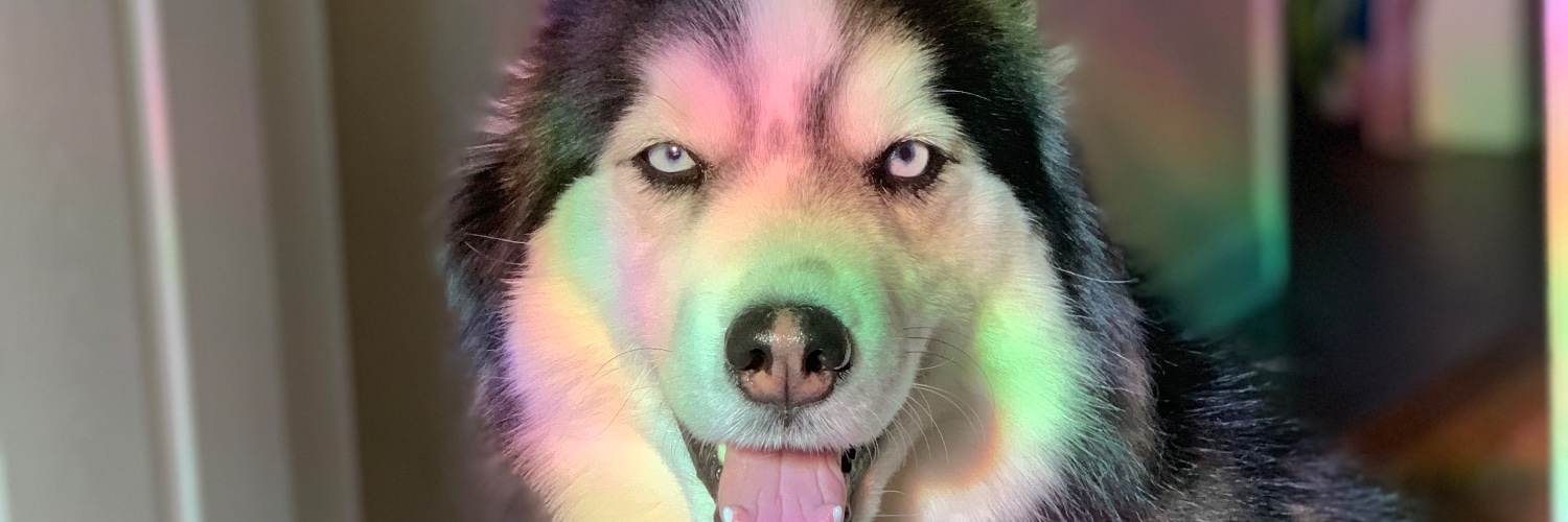 abbyyylicious's profile banner image