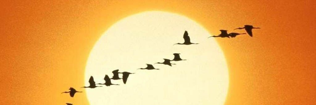 lujan_vaness's profile banner image