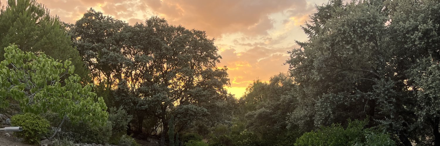 jcmortega's profile banner image