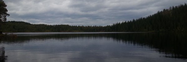 PSchjei Profile Banner